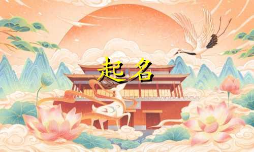 景观不会起名的树有哪些