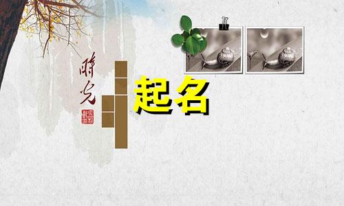 乐器起名外国名字有哪些