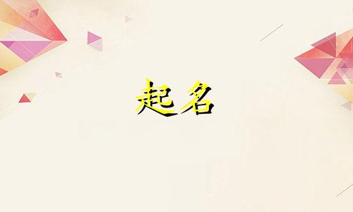 公司起名带路字的有哪些