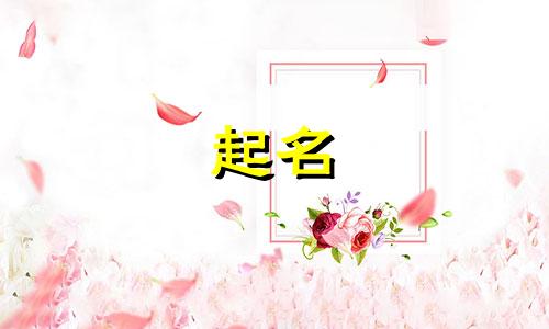 字母起名品牌有哪些名字