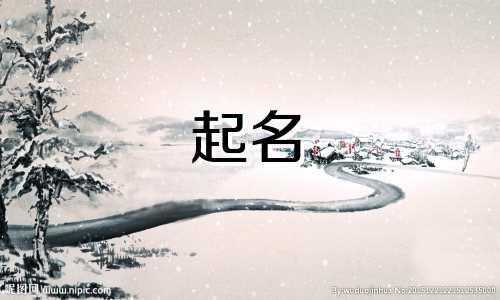 商标起名洋气的名字有哪些