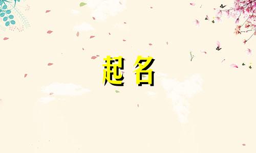 云川起名公司有哪些名字