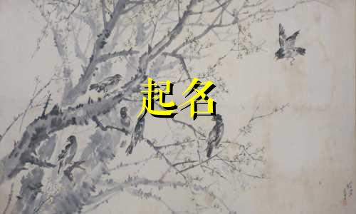 粤语女起名软件有哪些好用