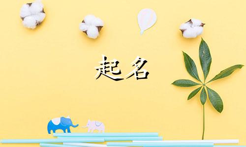 起名男女通用的字典有哪些