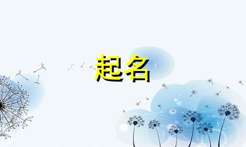 给宝宝起名字都有哪些