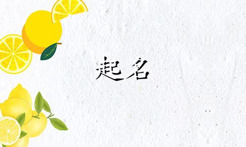 兔宝起名偏旁有哪些名字