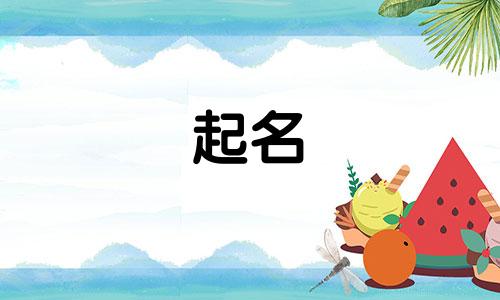 起名简单词汇有哪些字