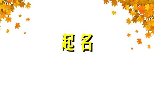 回族起名的仪式有哪些呢