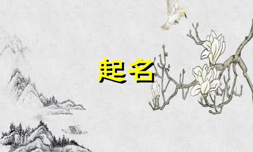 起名不太容易的名字有哪些