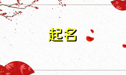 起名动词有哪些英文翻译