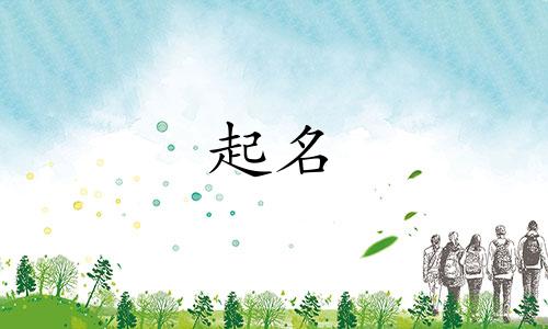 起名推荐的书籍有哪些书