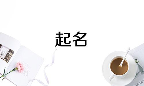 起名大师都是哪些人在玩