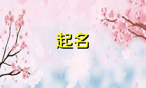 优秀的起名软件有哪些好用