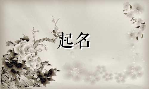 用德起名的船名有哪些