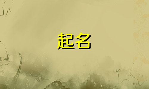 兔年按时辰起名用哪些字