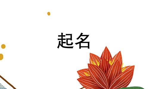 宠物起名生病的名字有哪些