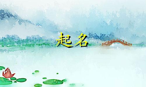 金宝宝起名软件有哪些名字