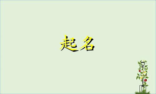 水杯大类起名字有哪些