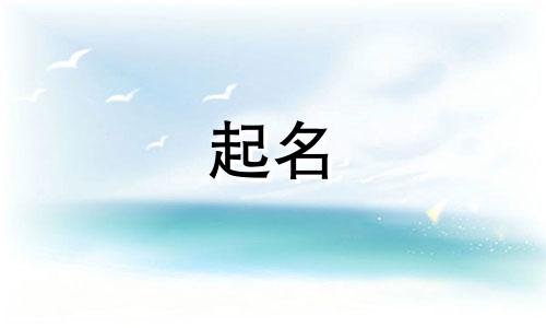 给宝宝起名有哪些风格呢