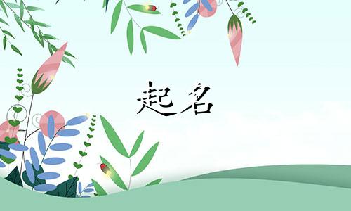 雅致的诗词起名方法有哪些