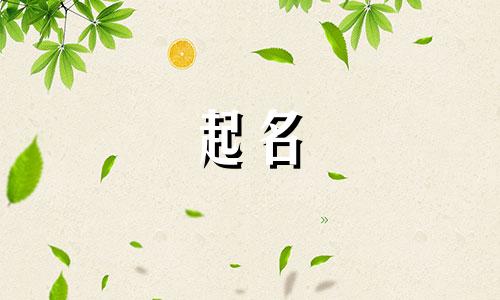 起名类的视频素材有哪些