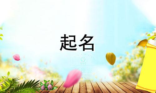 属猪的人起名宜用哪些字