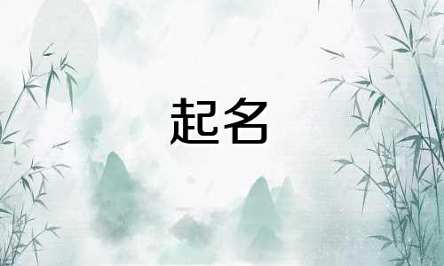 起名字要用哪些字典代替