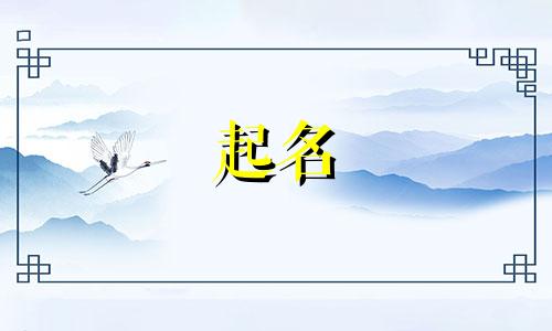 中国最好的起名公司有哪些