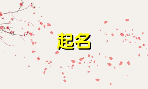 哪些书籍可以起名子的书