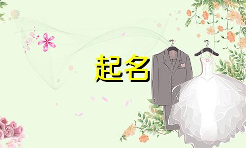 用名字起名的软件有哪些