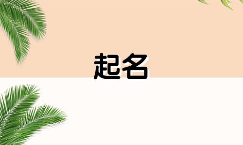 晋城起名公司有哪些地方