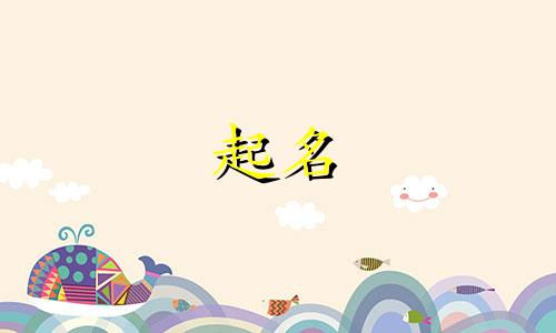 寅虎起名可用的字有哪些