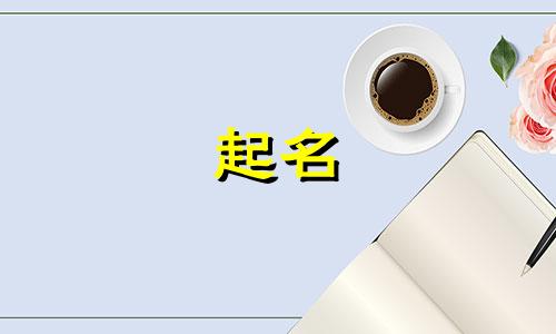 关于起名算卦的软件有哪些