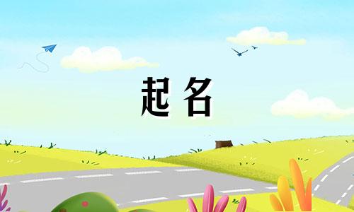 餐饮起名原则有哪些呢英文