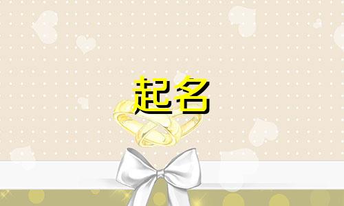 动画界起名鬼才有哪些名字