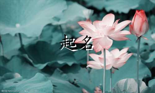 儿子起名可爱的名字有哪些