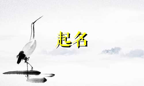 日本起名书籍有哪些好听