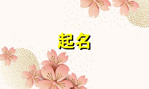 有关食品起名字有哪些