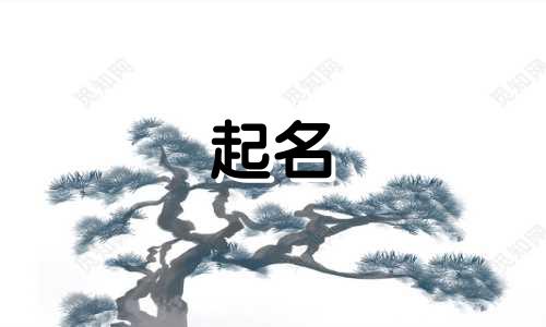 用诗句起名的东西有哪些