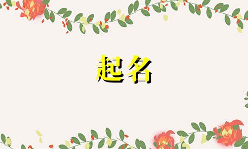 不起名的女孩小名有哪些