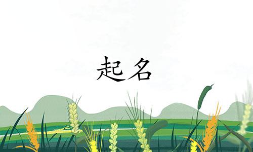 起名子的常识有哪些呢
