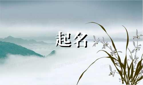 杜姓起名女孩名字有哪些