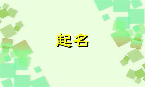 公猫起名字有哪些名字
