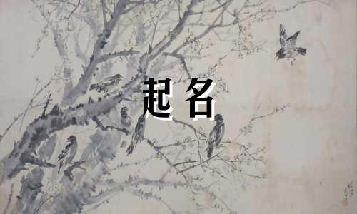 女孩子起名都有哪些字