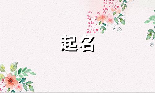 公司起名字工具有哪些