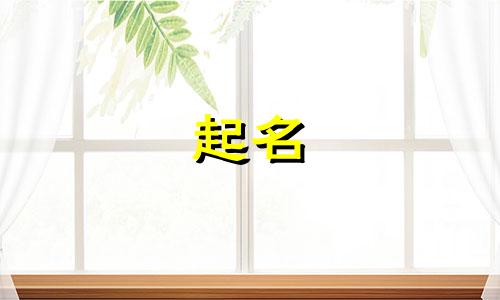 小孩起名要用的字典有哪些