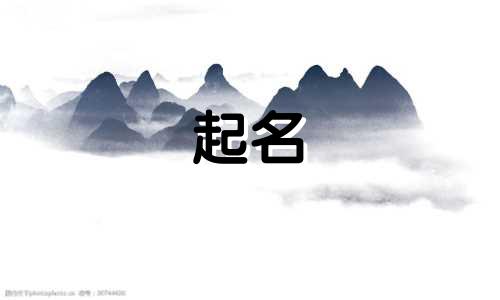 新疆起名字软件有哪些