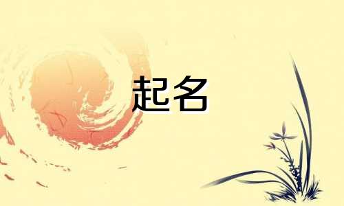 道路运输公司的起名有哪些