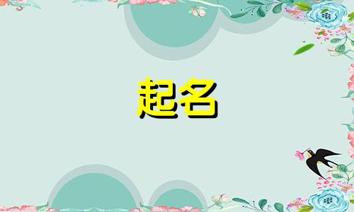 动物起名神器小程序有哪些