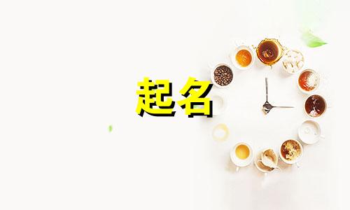 关于驾校起名的规定有哪些